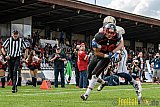 Düsseldorf Panther vs. Dresden Monarchs - 20.08.2016 GFL Nord: Düsseldorf Panther vs. Dresden Monarchs (16:69)