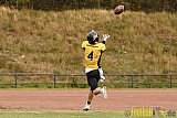 Duisburg Thunderbirds vs. Düren Demons - 02.10.2016 VL NRW: Duisburg Thunderbirds vs. Düren Demons (42:0)