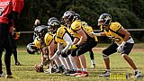 Duisburg Thunderbirds vs. Düren Demons - 02.10.2016 VL NRW: Duisburg Thunderbirds vs. Düren Demons (42:0)