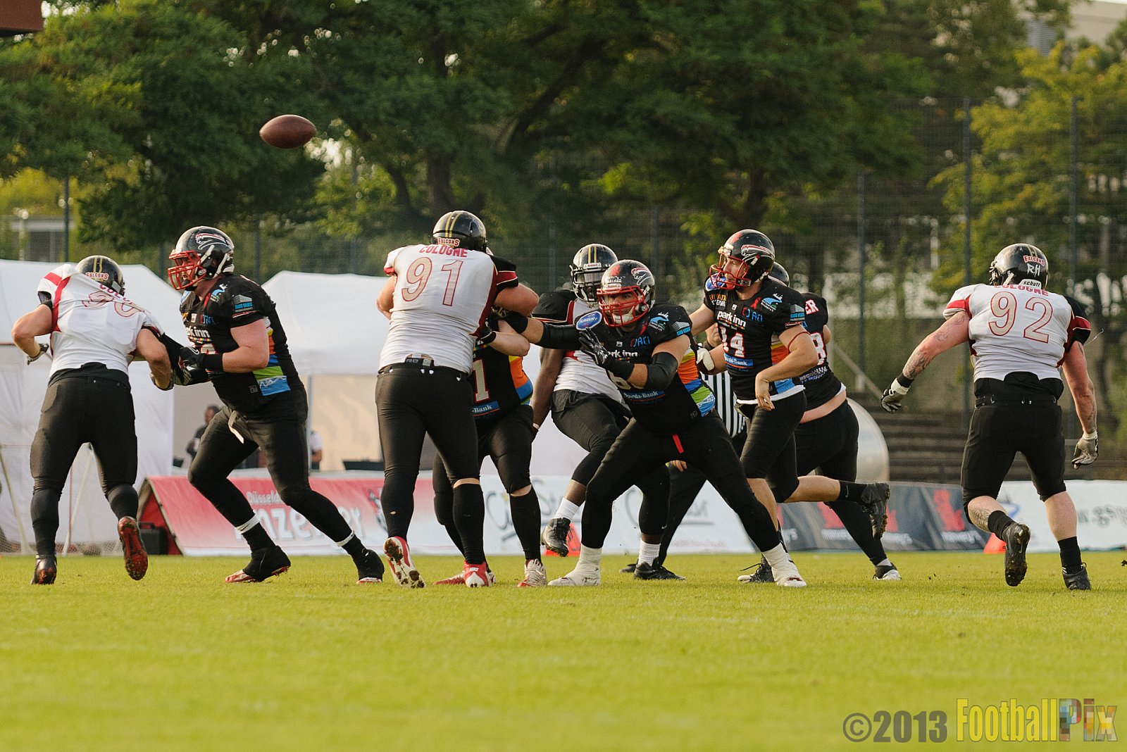 Düsseldorf Panther vs. Cologne Falcons - 31.08.2013 GFL Nord: Düsseldorf Panther vs. Cologne Falcons (28:21) 