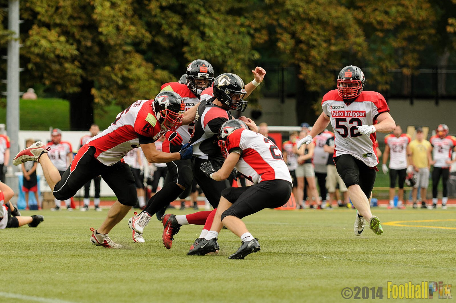 Cologne Falcons II vs. Solingen Paladins - 03.08.2014 Cologne Falcons II vs. Solingen Paladins (34:14) 