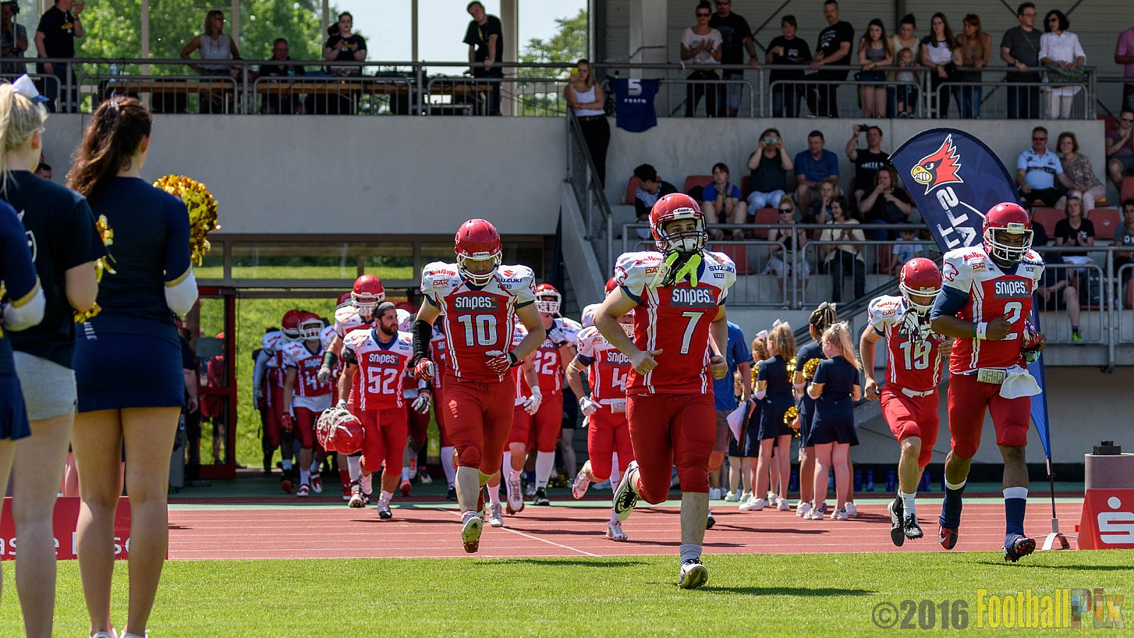 Essen Assindia Cardinals vs. Lübeck Cougars - 05.06.2016 GFL2: Essen Assindia Cardinals vs. Lübeck Cougars (16:35)
