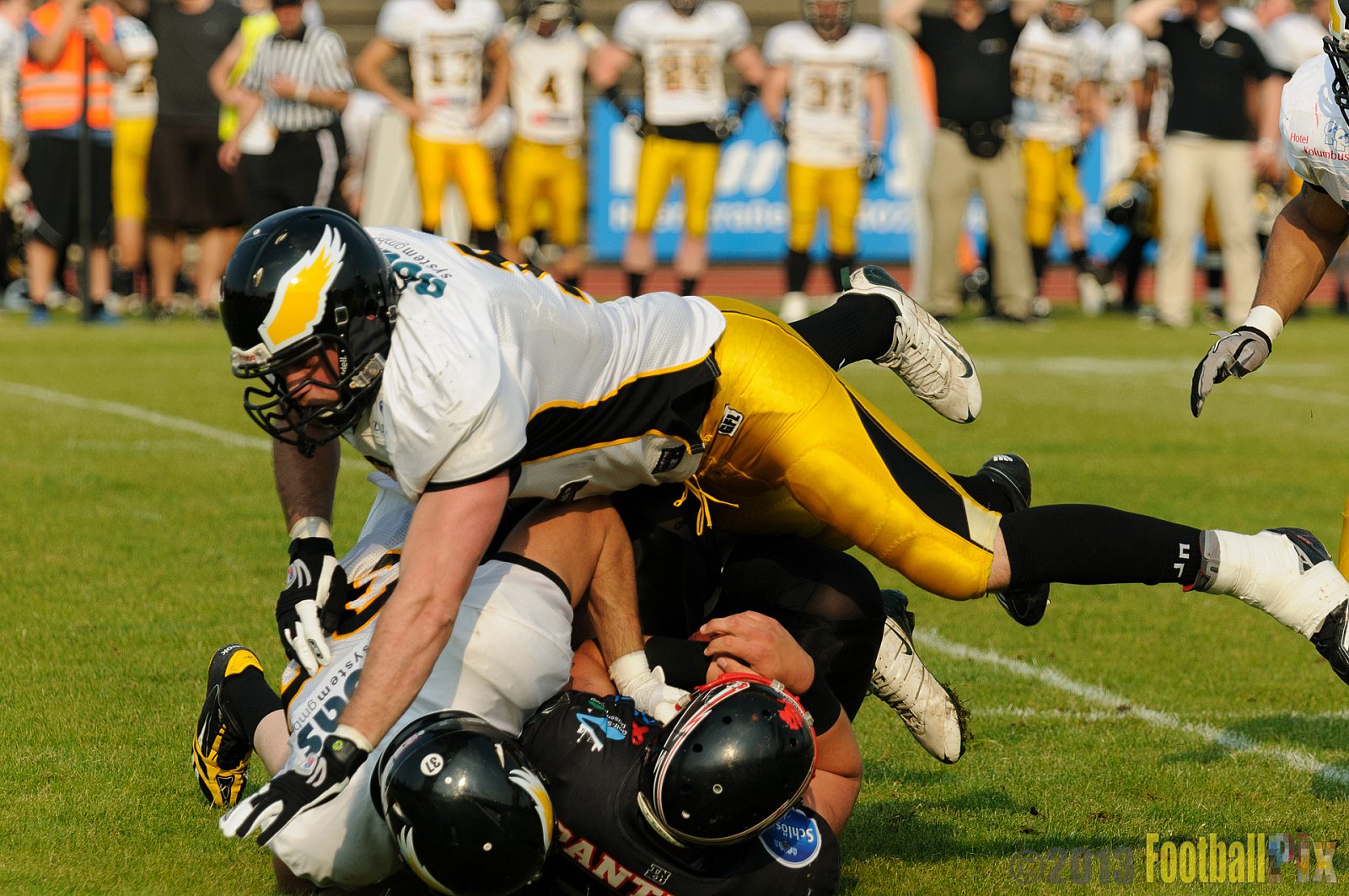 Düsseldorf Panther	vs. Berlin Adler  - 08.06.2013 GFL Nord: Düsseldorf Panther vs. Berlin Adler (10:27)