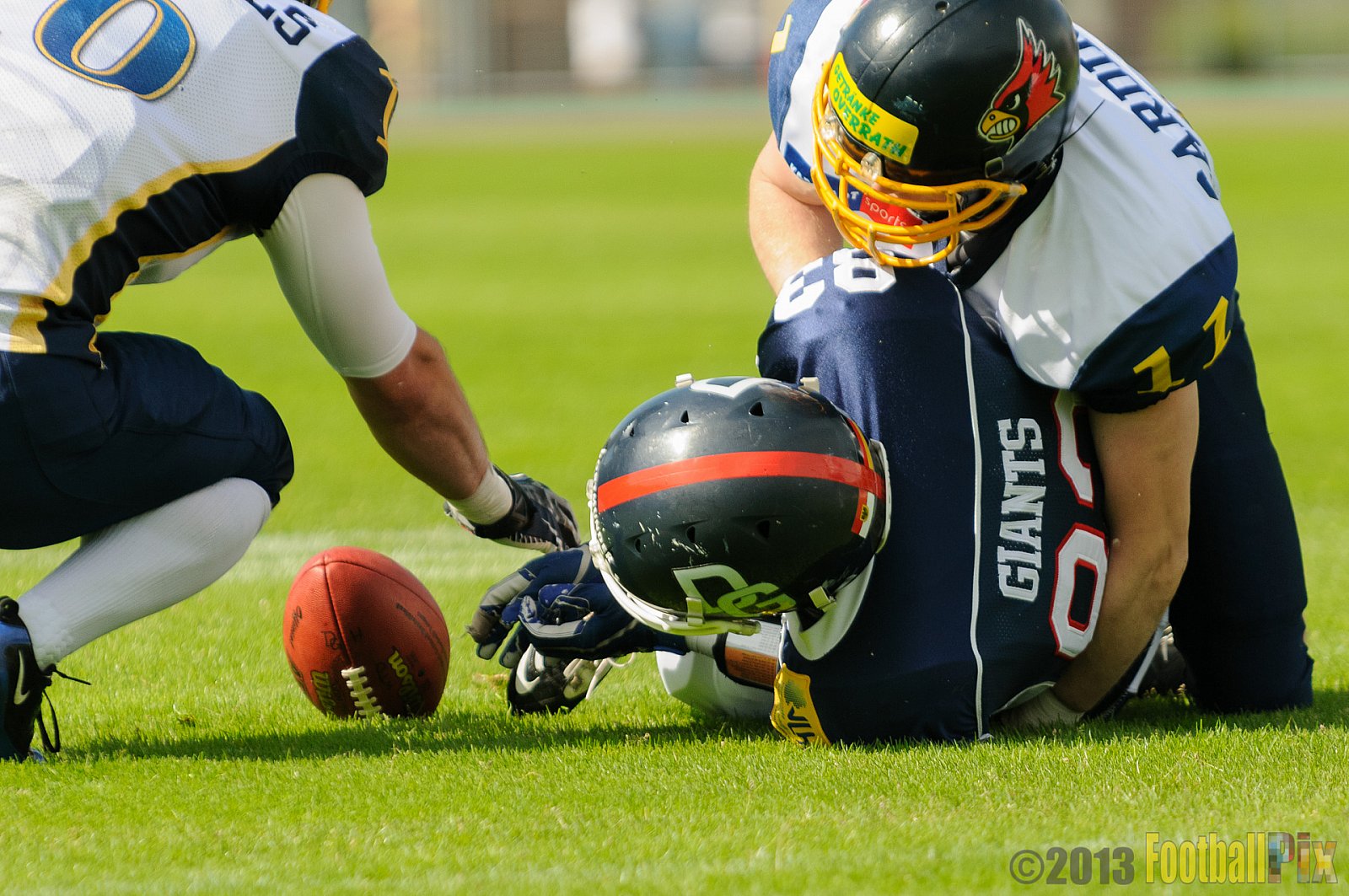Essen Assindia Cardinals vs. Dortmund Giants  - 15.06.2013 Essen Assindia Cardinals vs. Dortmund Giants (3:9) 