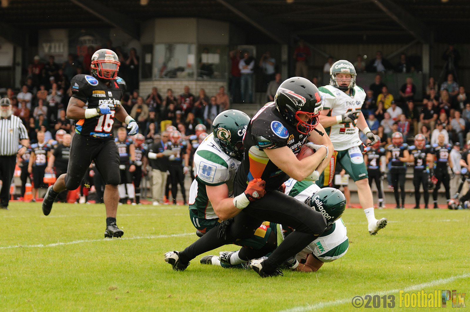 Düsseldorf Panther vs. Kiel Baltic Hurricanes - 30.06.2013 GFL Nord: Düsseldorf Panther vs. Kiel Baltic Hurricanes (10:47) 