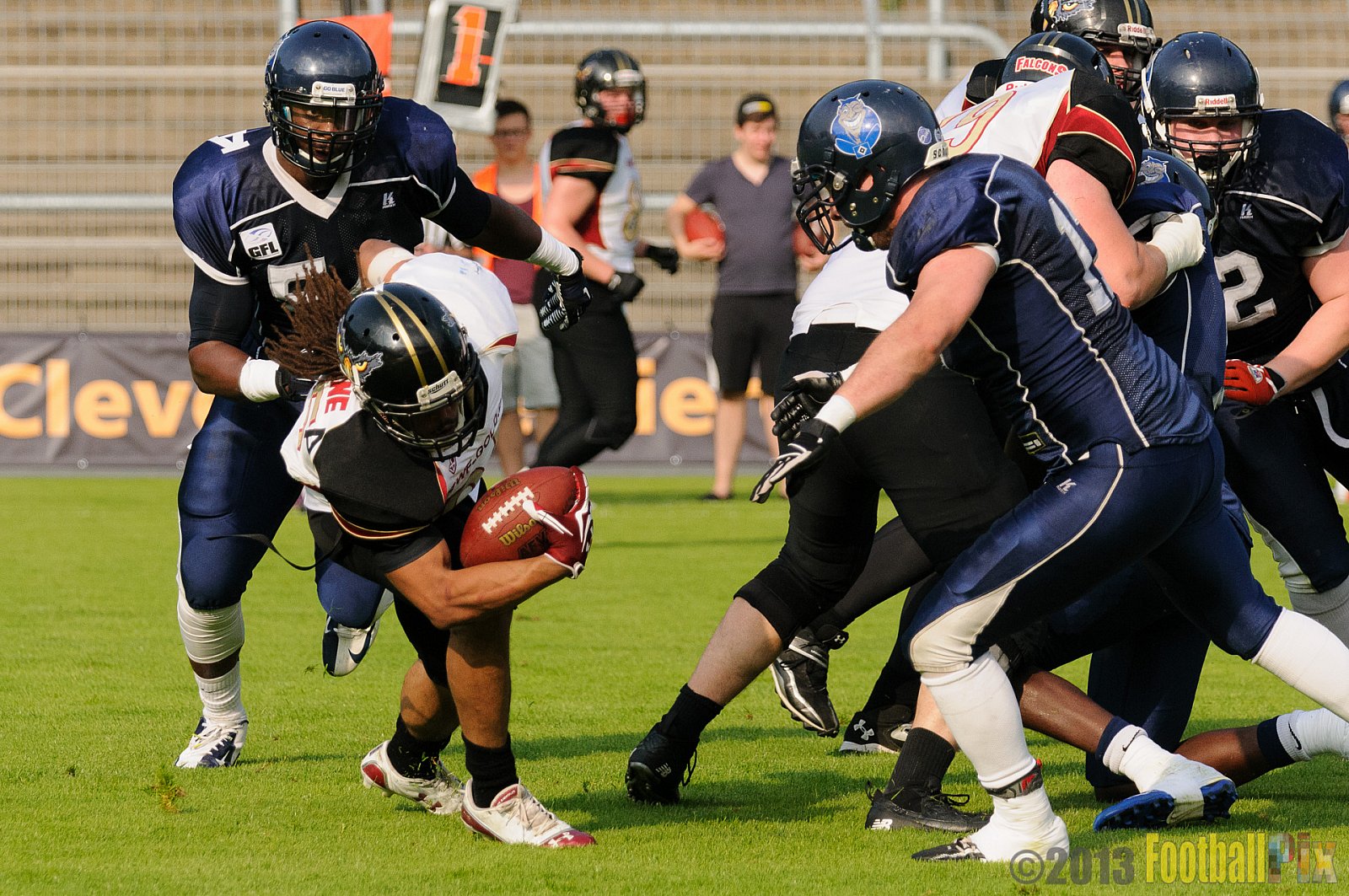 Cologne Falcons vs. Hamburg Blue Devils - 06.07.2013 GFL Nord: Cologne Falcons vs. Hamburg Blue Devils (14:42) 