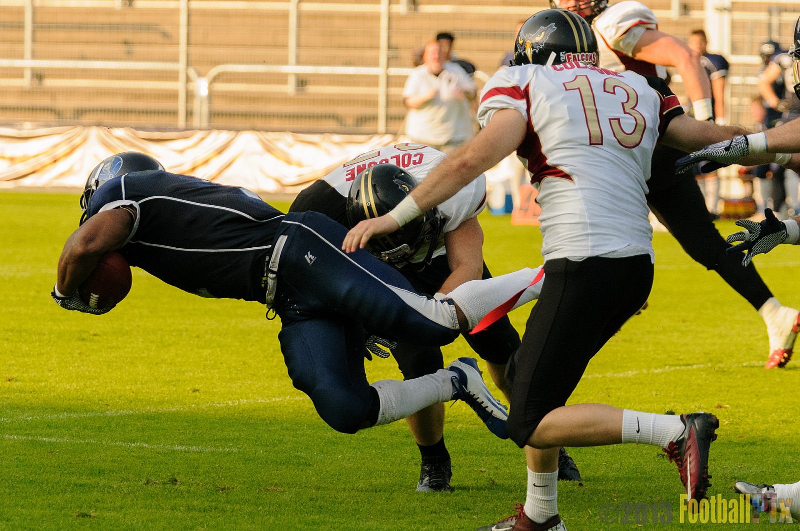 Cologne Falcons vs. Hamburg Blue Devils - 06.07.2013 GFL Nord: Cologne Falcons vs. Hamburg Blue Devils (14:42) 