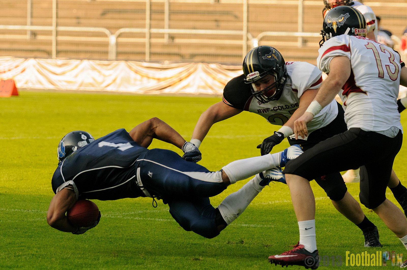 Cologne Falcons vs. Hamburg Blue Devils - 06.07.2013 GFL Nord: Cologne Falcons vs. Hamburg Blue Devils (14:42) 