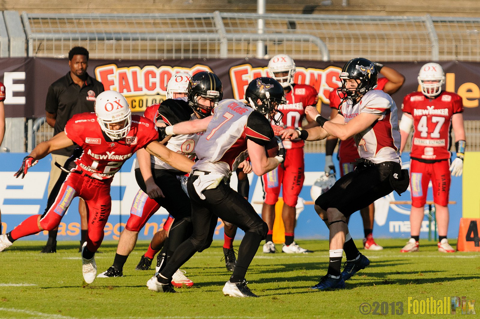 Cologne Falcons vs. Braunschweig FFC (New Yorker Lions) - 20.07.2013 GFL Nord: Cologne Falcons vs. Braunschweig FFC (New Yorker Lions) (13:56) 