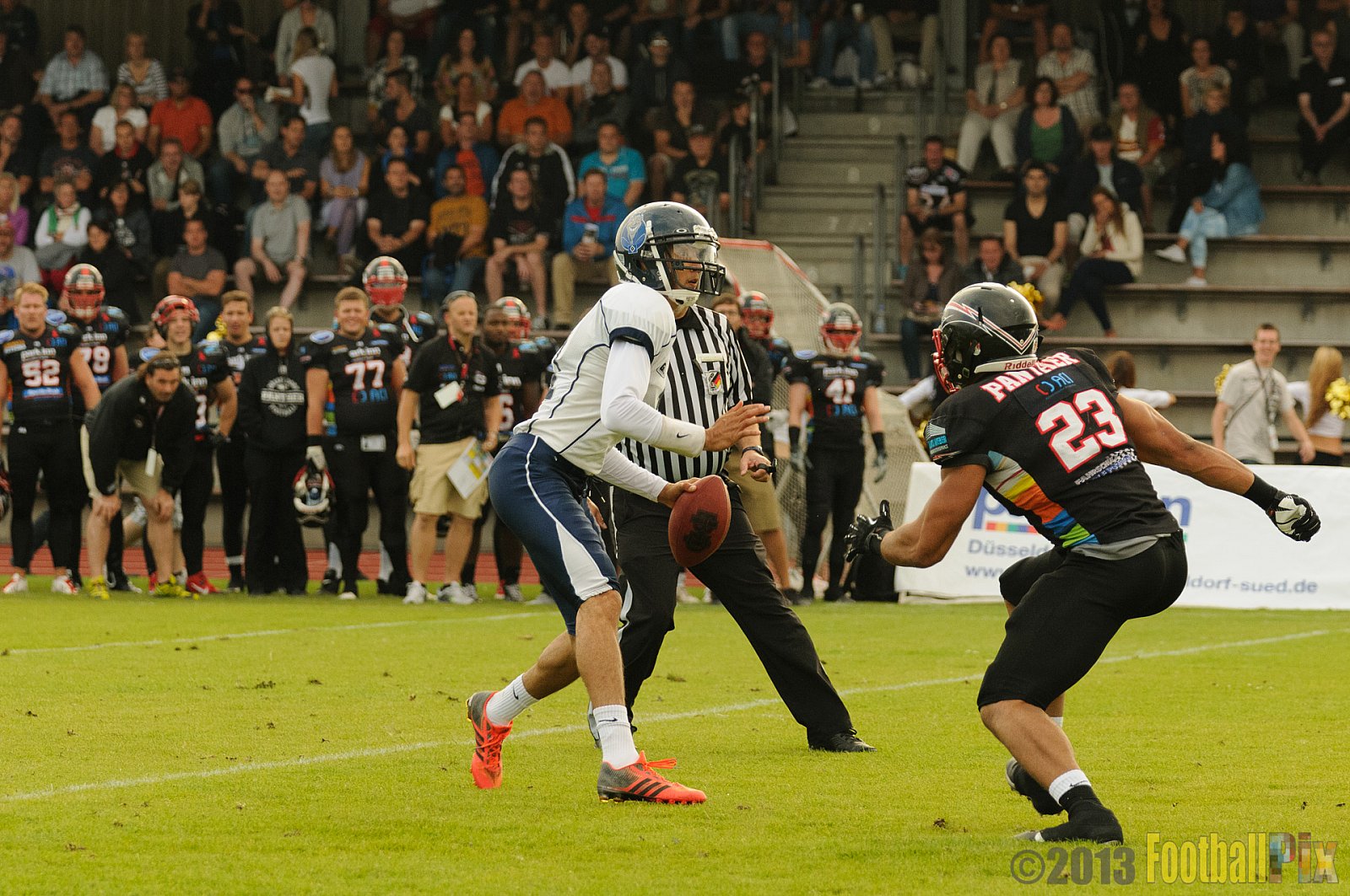 Düsseldorf Panther vs. Hamburg Blue Devils - 10.08.2013 GFL Nord: Düsseldorf Panther vs. Hamburg Blue Devils (28:9) 