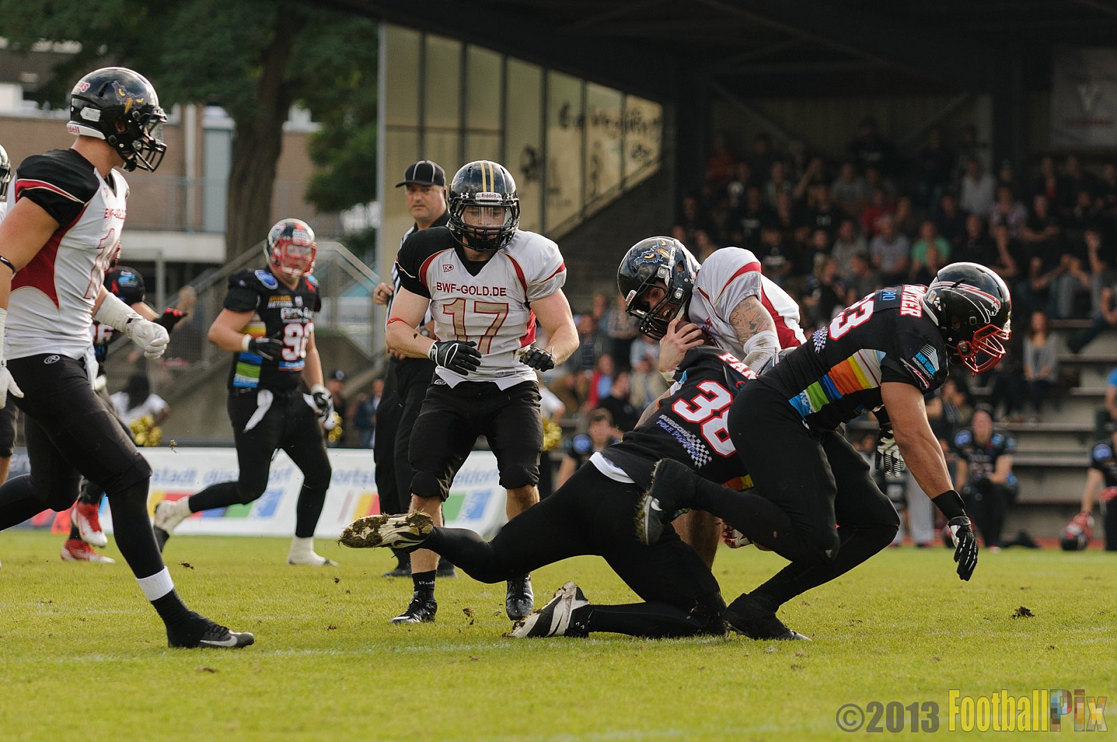 Düsseldorf Panther vs. Cologne Falcons - 31.08.2013 GFL Nord: Düsseldorf Panther vs. Cologne Falcons (28:21) 