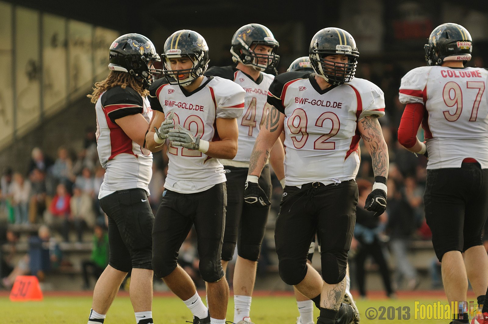 Düsseldorf Panther vs. Cologne Falcons - 31.08.2013 GFL Nord: Düsseldorf Panther vs. Cologne Falcons (28:21) 