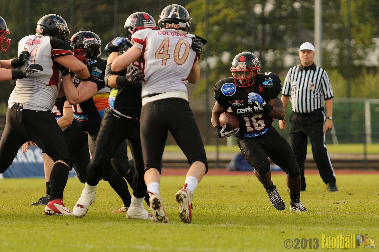 Düsseldorf Panther vs. Cologne Falcons - 31.08.2013 GFL Nord: Düsseldorf Panther vs. Cologne Falcons (28:21) 