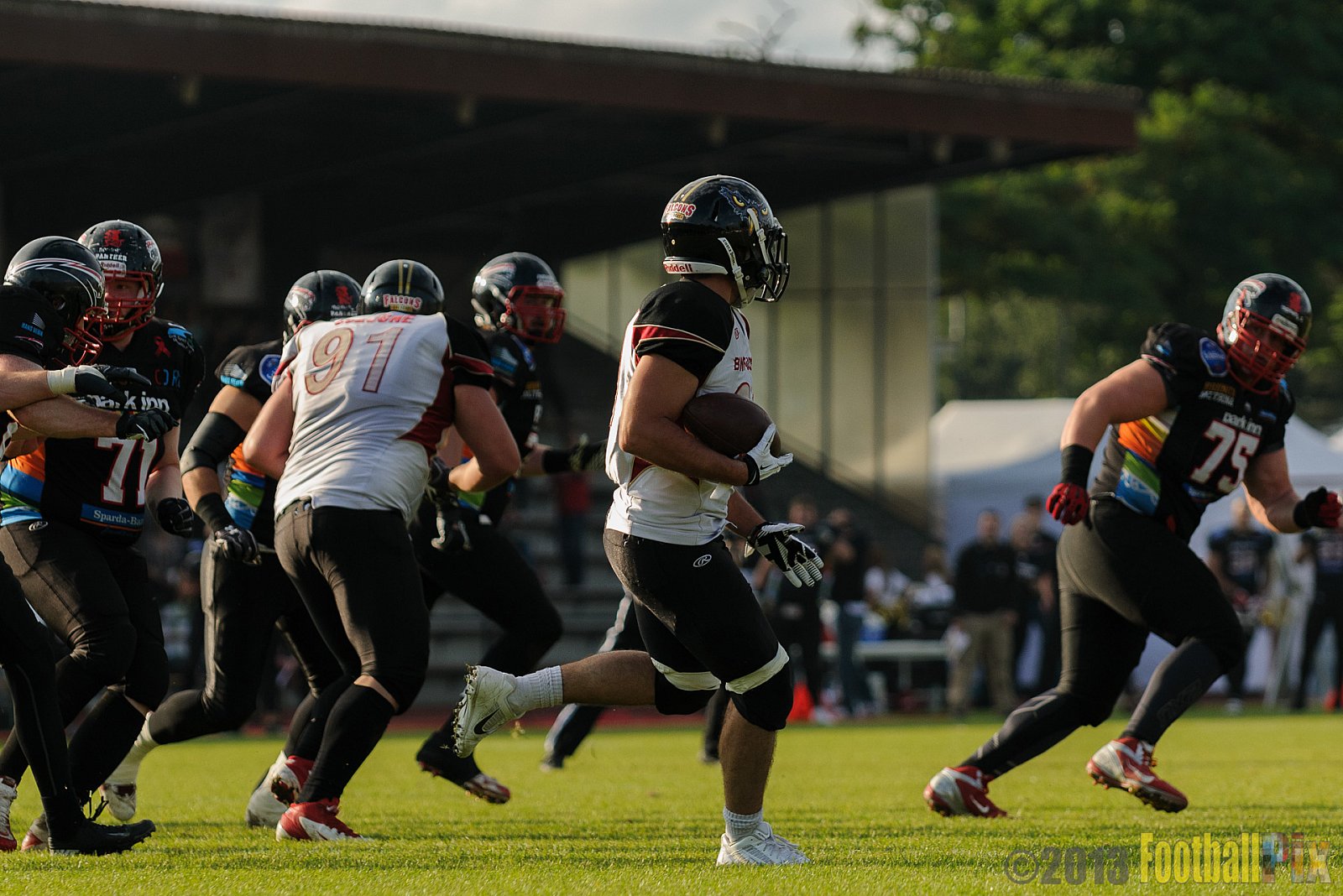 Düsseldorf Panther vs. Cologne Falcons - 31.08.2013 GFL Nord: Düsseldorf Panther vs. Cologne Falcons (28:21) 