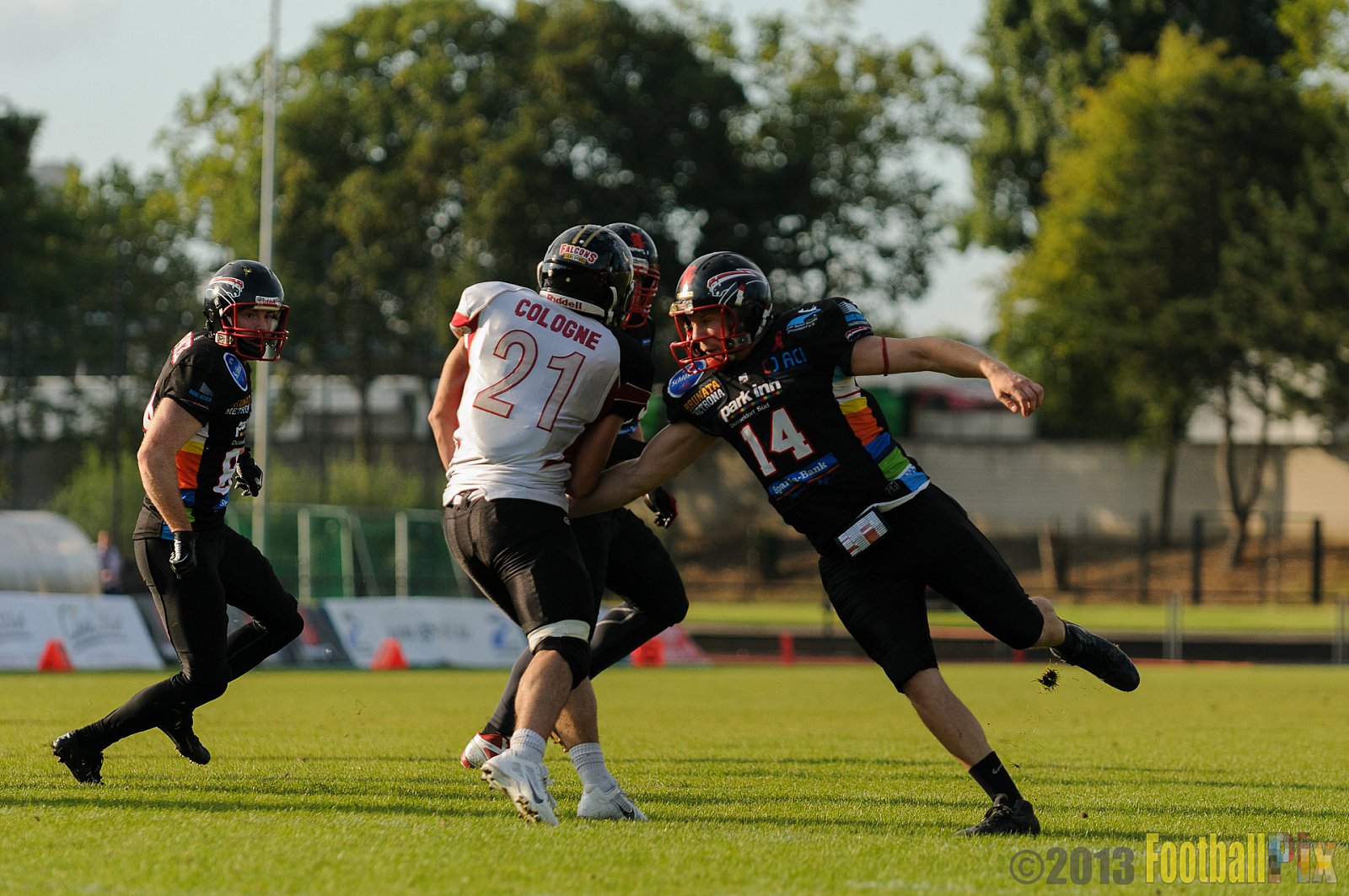 Düsseldorf Panther vs. Cologne Falcons - 31.08.2013 GFL Nord: Düsseldorf Panther vs. Cologne Falcons (28:21) 