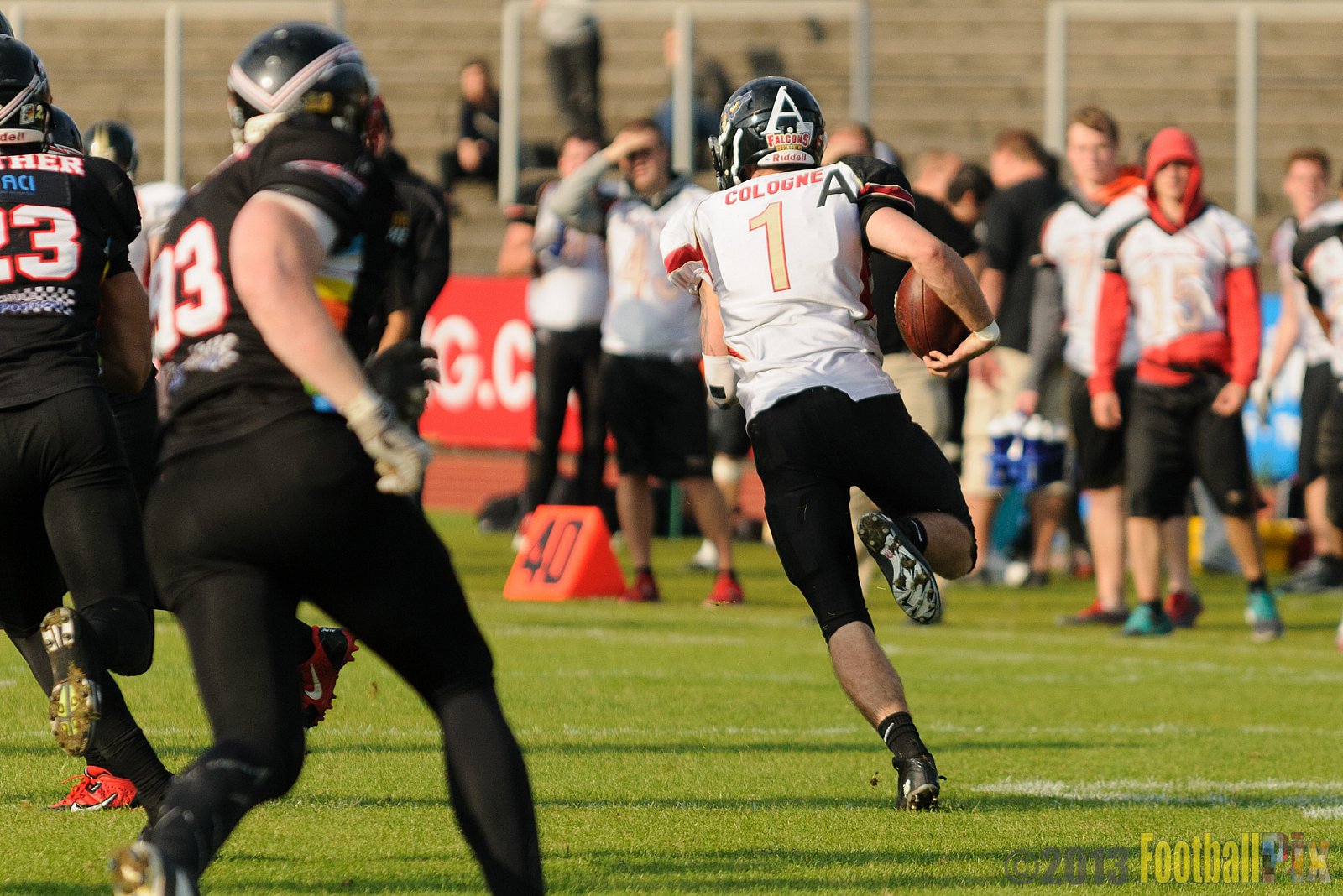 Düsseldorf Panther vs. Cologne Falcons - 31.08.2013 GFL Nord: Düsseldorf Panther vs. Cologne Falcons (28:21) 