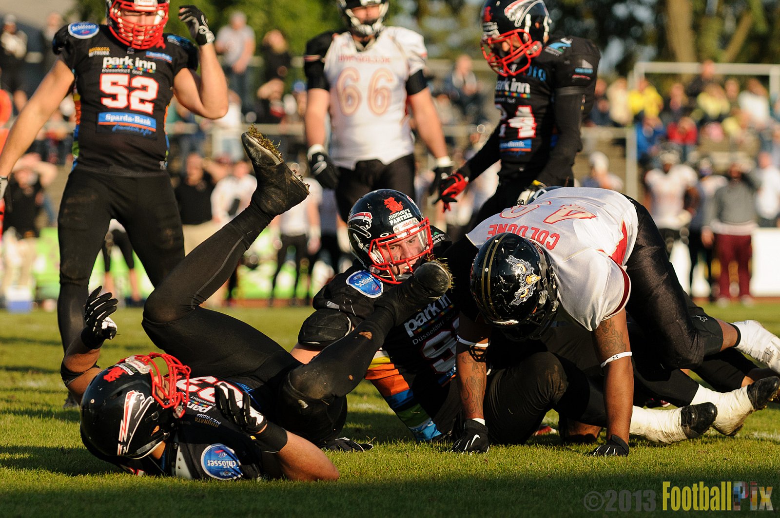 Düsseldorf Panther vs. Cologne Falcons - 31.08.2013 GFL Nord: Düsseldorf Panther vs. Cologne Falcons (28:21) 