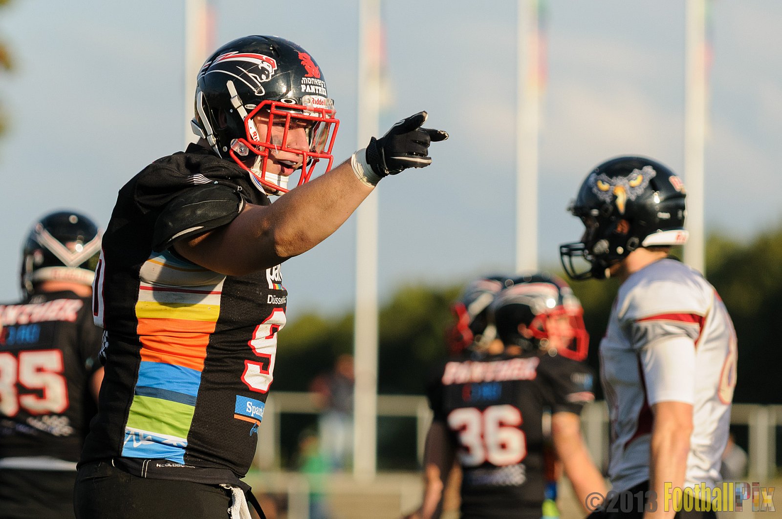 Düsseldorf Panther vs. Cologne Falcons - 31.08.2013 GFL Nord: Düsseldorf Panther vs. Cologne Falcons (28:21) 