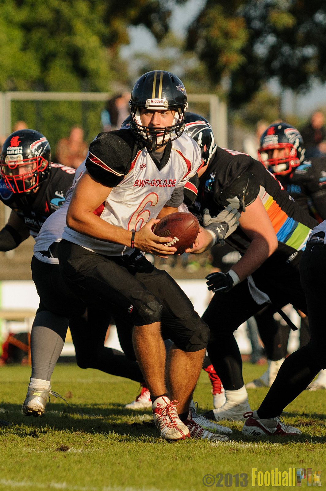Düsseldorf Panther vs. Cologne Falcons - 31.08.2013 GFL Nord: Düsseldorf Panther vs. Cologne Falcons (28:21) 