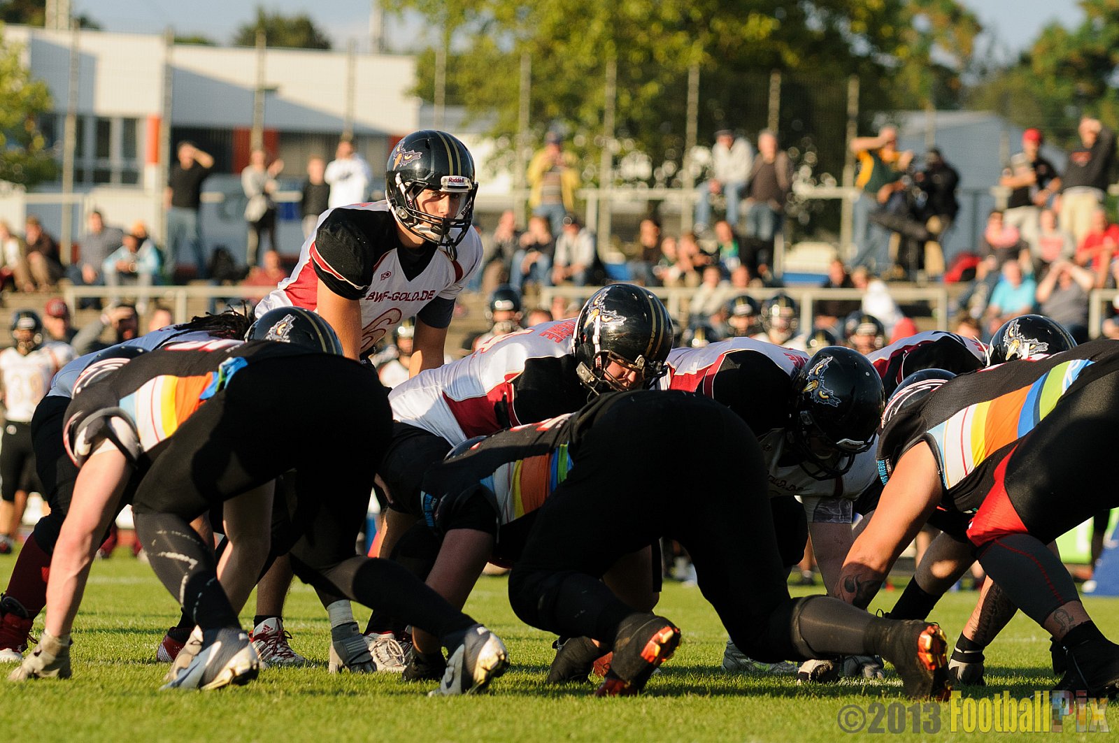 Düsseldorf Panther vs. Cologne Falcons - 31.08.2013 GFL Nord: Düsseldorf Panther vs. Cologne Falcons (28:21) 