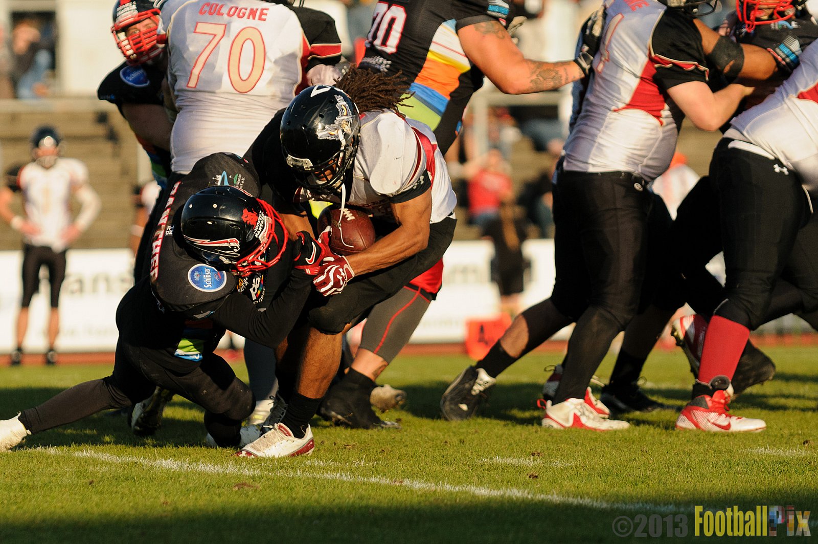 Düsseldorf Panther vs. Cologne Falcons - 31.08.2013 GFL Nord: Düsseldorf Panther vs. Cologne Falcons (28:21) 