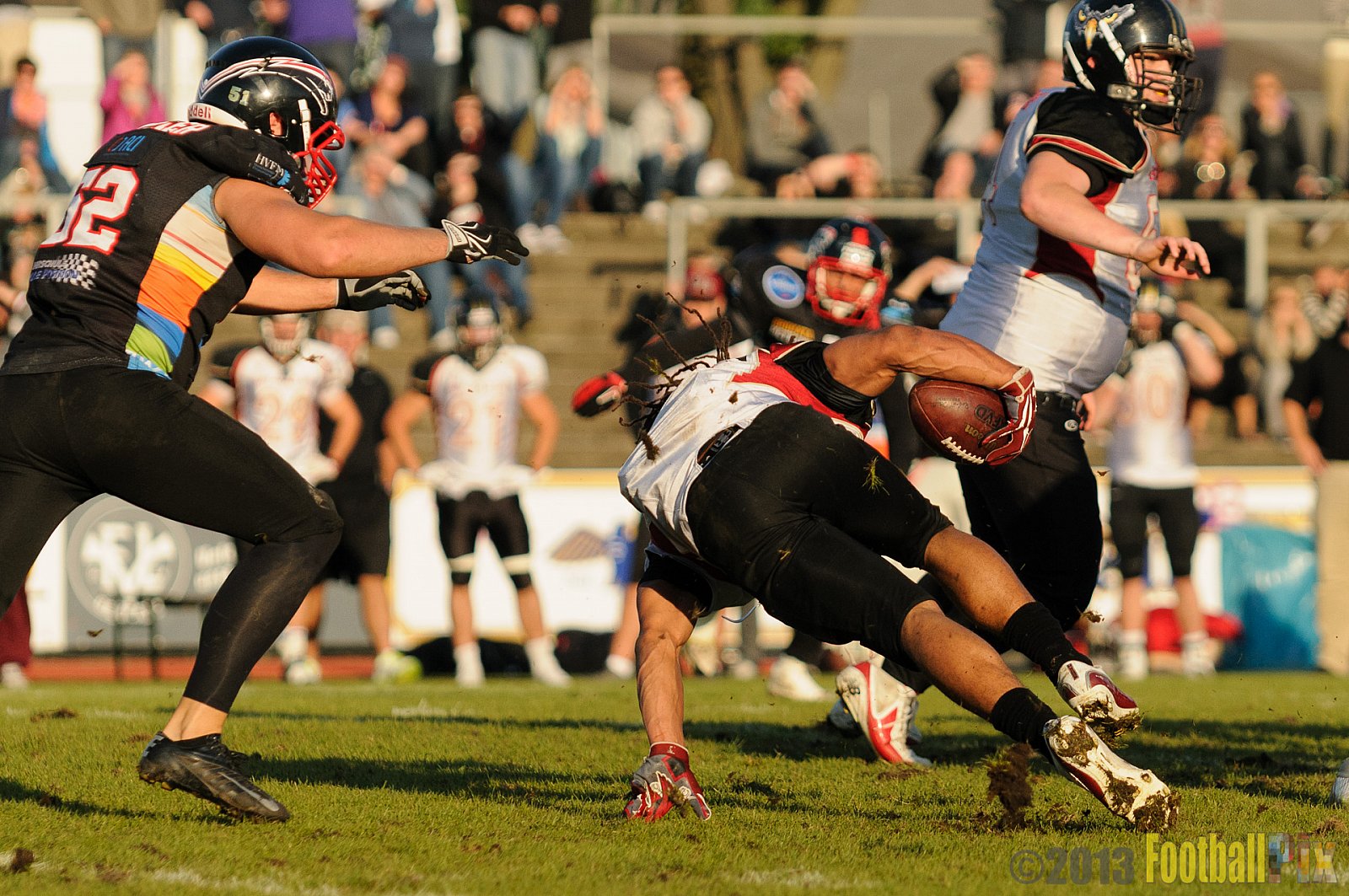 Düsseldorf Panther vs. Cologne Falcons - 31.08.2013 GFL Nord: Düsseldorf Panther vs. Cologne Falcons (28:21) 