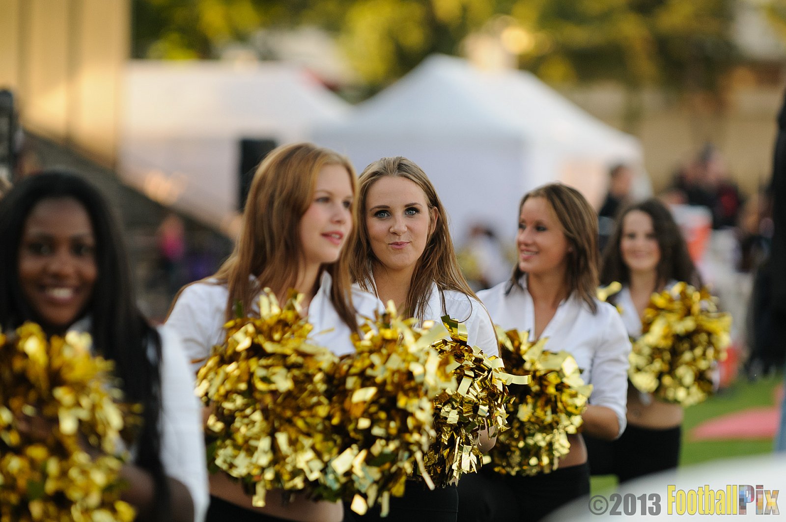 Düsseldorf Panther vs. Cologne Falcons - 31.08.2013 GFL Nord: Düsseldorf Panther vs. Cologne Falcons (28:21) 