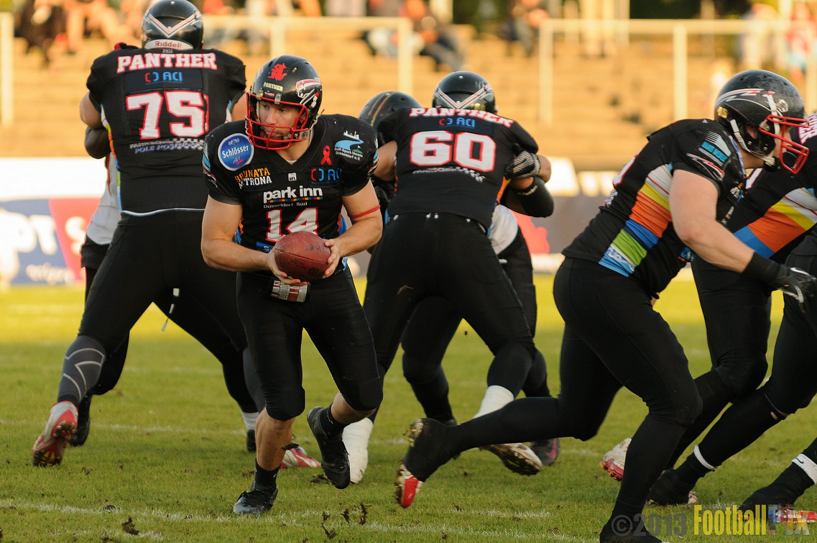 Düsseldorf Panther vs. Cologne Falcons - 31.08.2013 GFL Nord: Düsseldorf Panther vs. Cologne Falcons (28:21) 