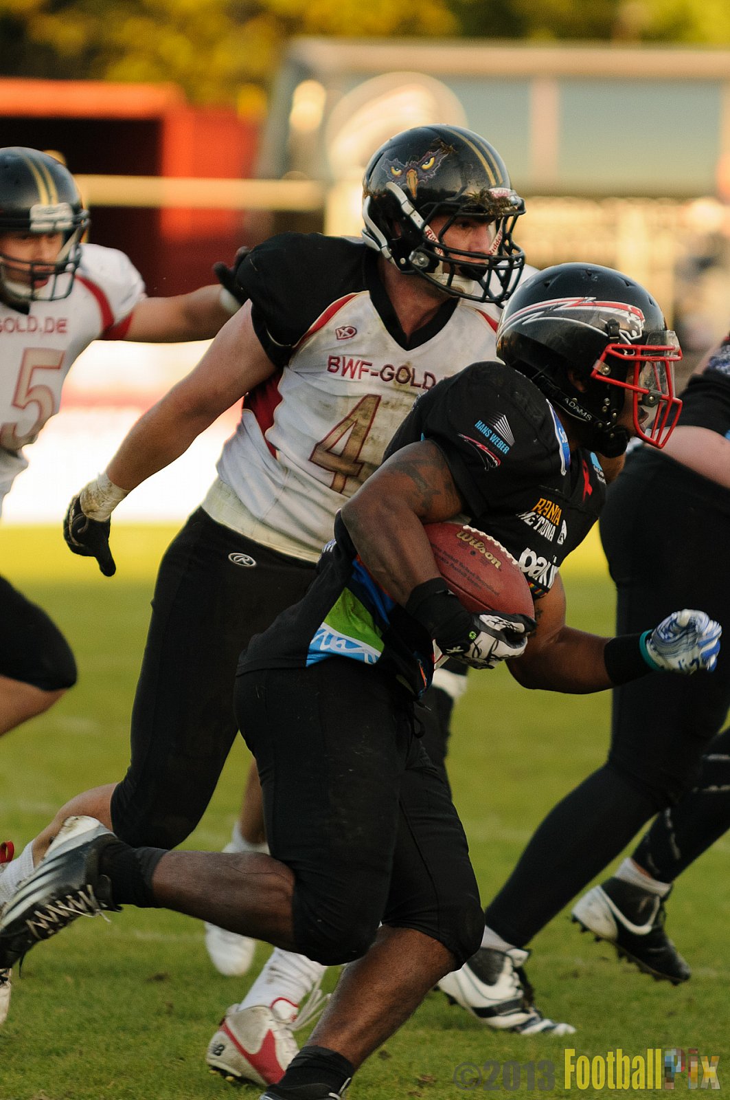 Düsseldorf Panther vs. Cologne Falcons - 31.08.2013 GFL Nord: Düsseldorf Panther vs. Cologne Falcons (28:21) 