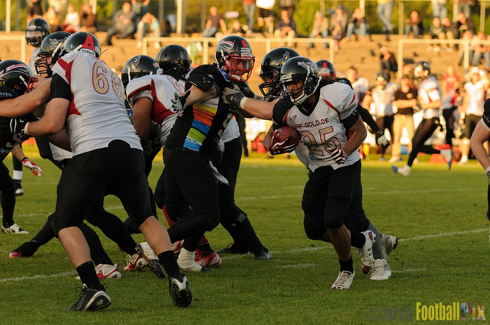 Düsseldorf Panther vs. Cologne Falcons - 31.08.2013 GFL Nord: Düsseldorf Panther vs. Cologne Falcons (28:21) 