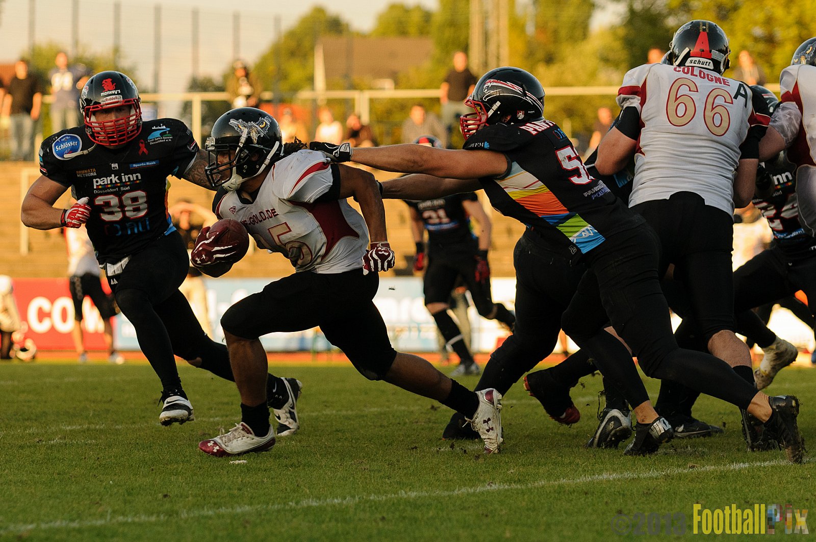 Düsseldorf Panther vs. Cologne Falcons - 31.08.2013 GFL Nord: Düsseldorf Panther vs. Cologne Falcons (28:21) 