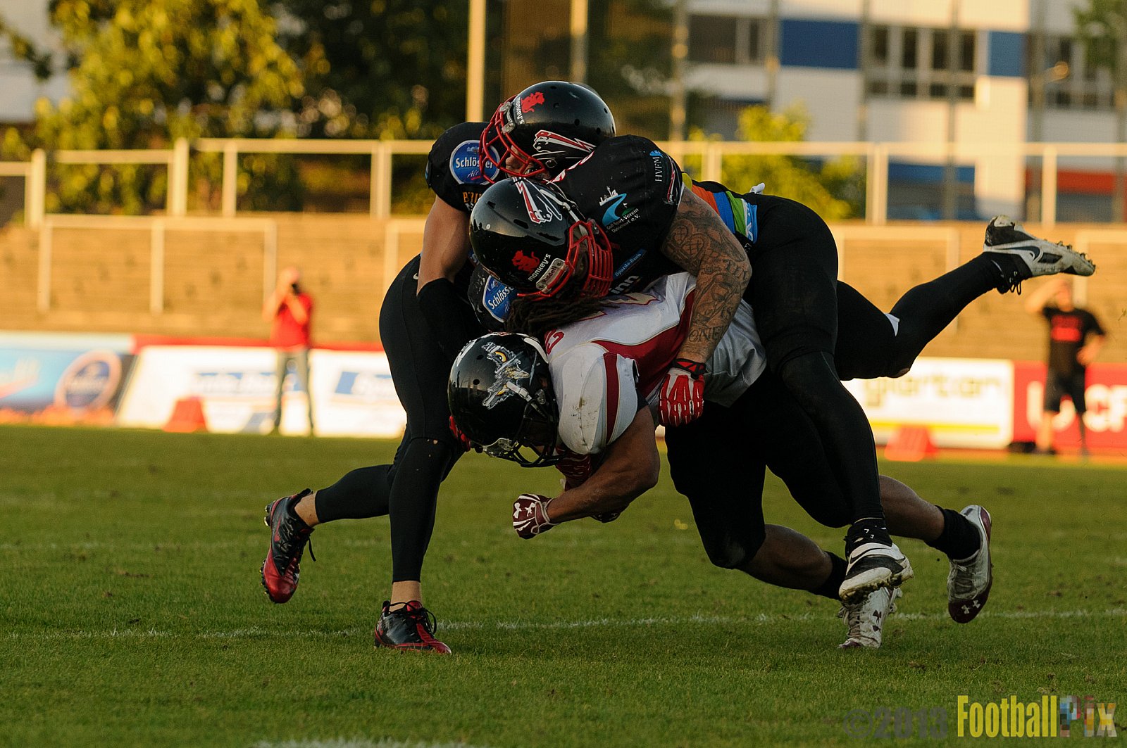 Düsseldorf Panther vs. Cologne Falcons - 31.08.2013 GFL Nord: Düsseldorf Panther vs. Cologne Falcons (28:21) 