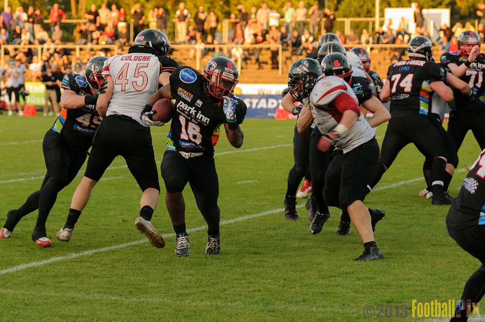 Düsseldorf Panther vs. Cologne Falcons - 31.08.2013 GFL Nord: Düsseldorf Panther vs. Cologne Falcons (28:21) 