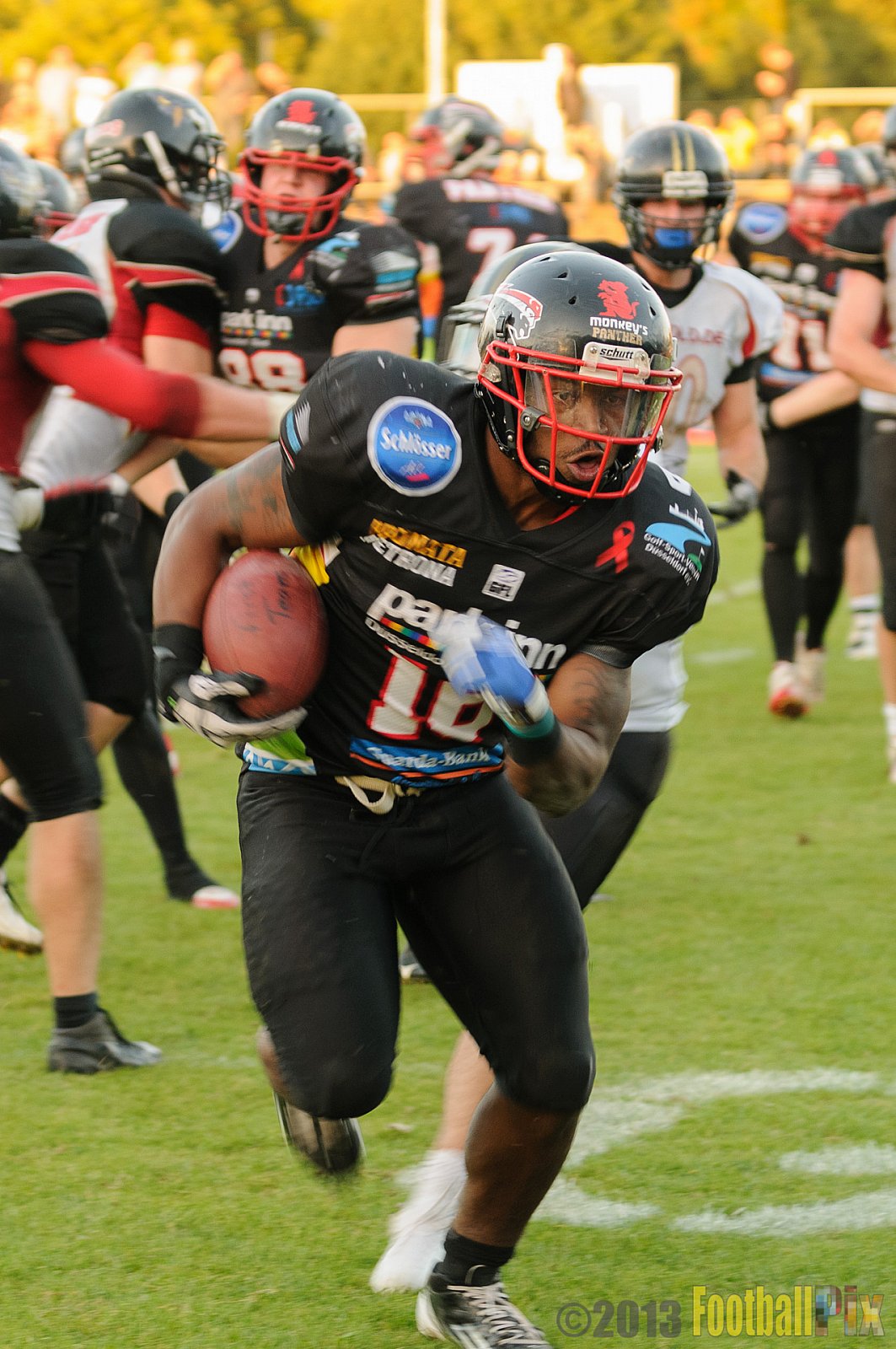 Düsseldorf Panther vs. Cologne Falcons - 31.08.2013 GFL Nord: Düsseldorf Panther vs. Cologne Falcons (28:21) 