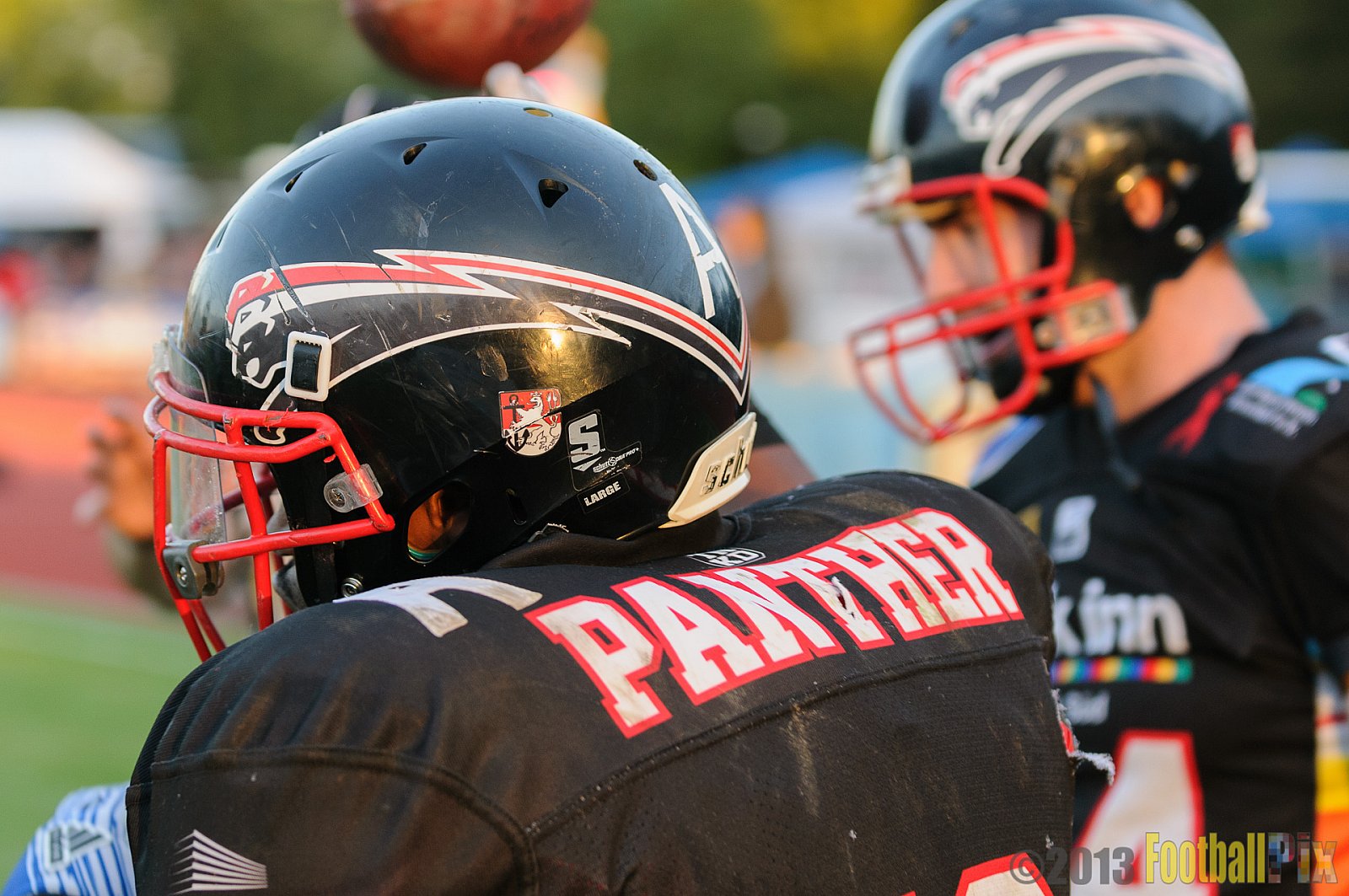 Düsseldorf Panther vs. Cologne Falcons - 31.08.2013 GFL Nord: Düsseldorf Panther vs. Cologne Falcons (28:21) 