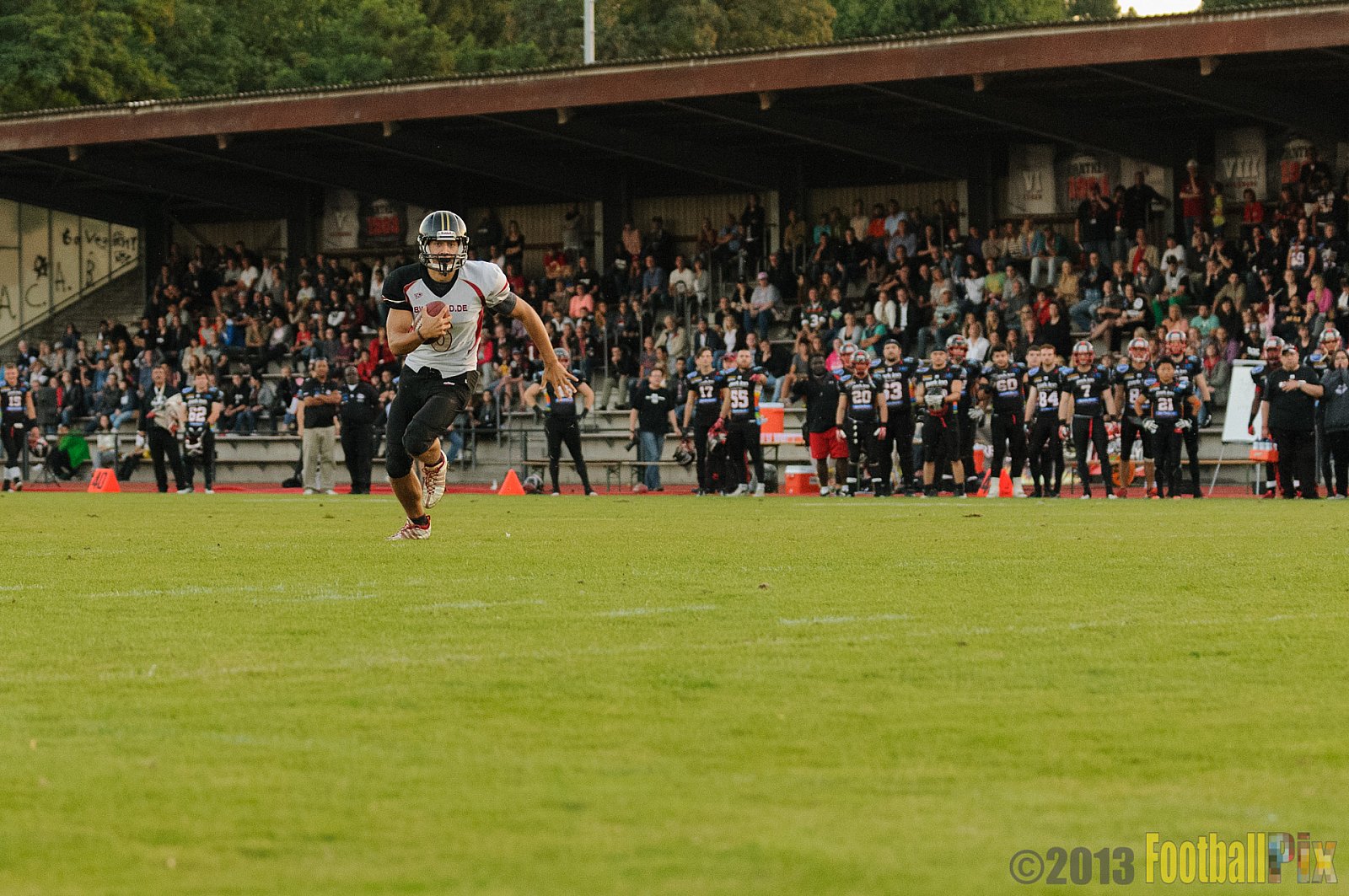 Düsseldorf Panther vs. Cologne Falcons - 31.08.2013 GFL Nord: Düsseldorf Panther vs. Cologne Falcons (28:21) 