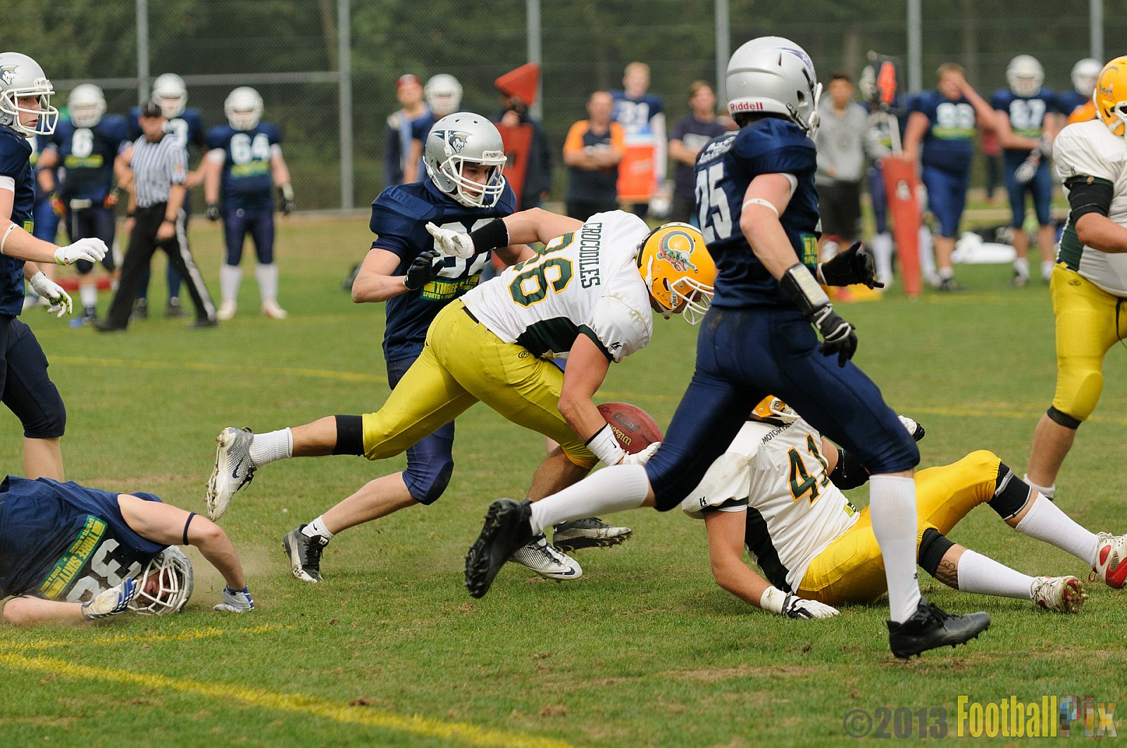 Cologne Crocodiles vs. Bochum Cadets - 01.09.2013 Cologne Crocodiles vs. Bochum Cadets (51:3) 
