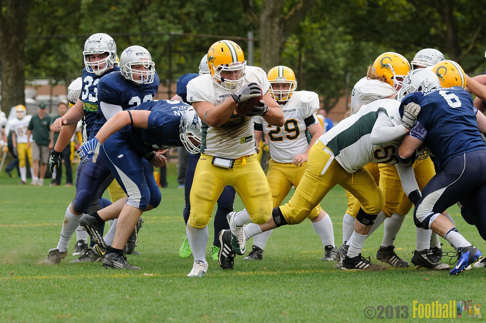 Cologne Crocodiles vs. Bochum Cadets - 01.09.2013 Cologne Crocodiles vs. Bochum Cadets (51:3) 