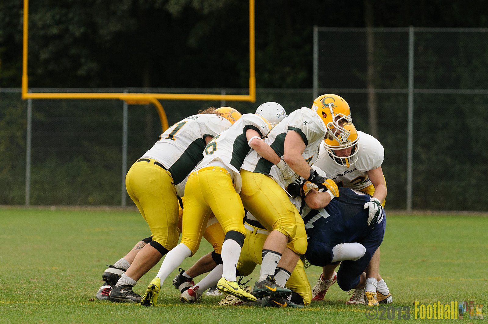 Cologne Crocodiles vs. Bochum Cadets - 01.09.2013 Cologne Crocodiles vs. Bochum Cadets (51:3) 