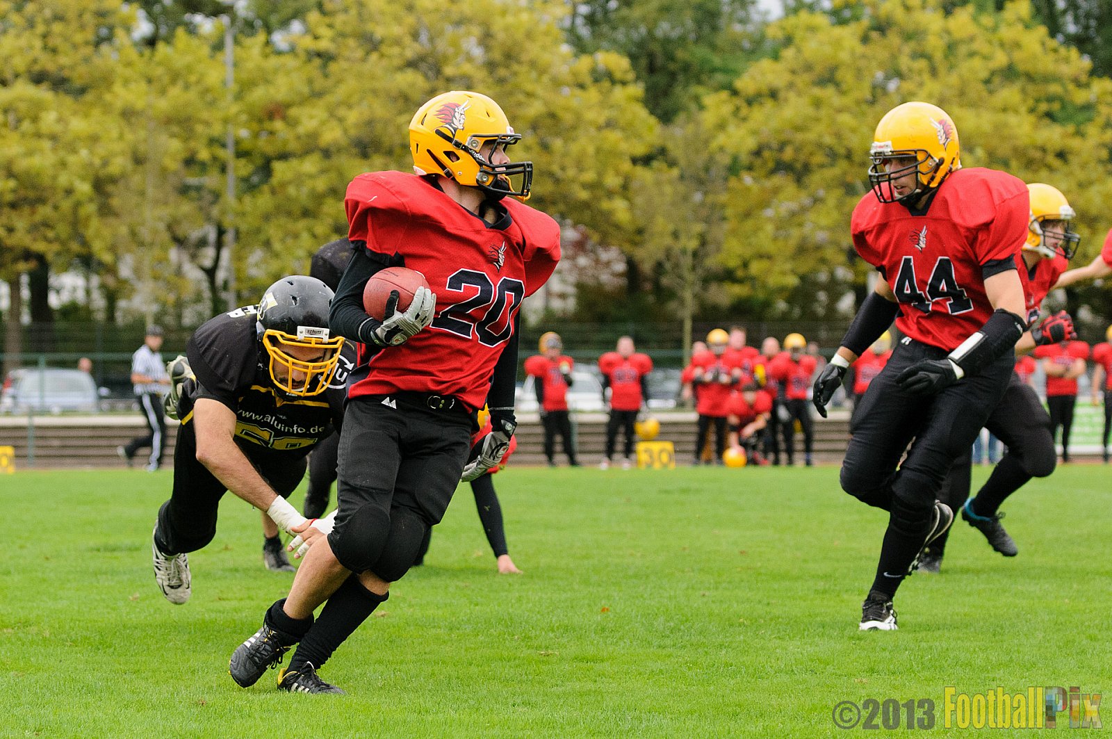 Düsseldorf Bulldozer vs. Aachen Düren Demons - 14.09.2013 Düsseldorf Bulldozer vs. Aachen/Düren Demons (62:0) 