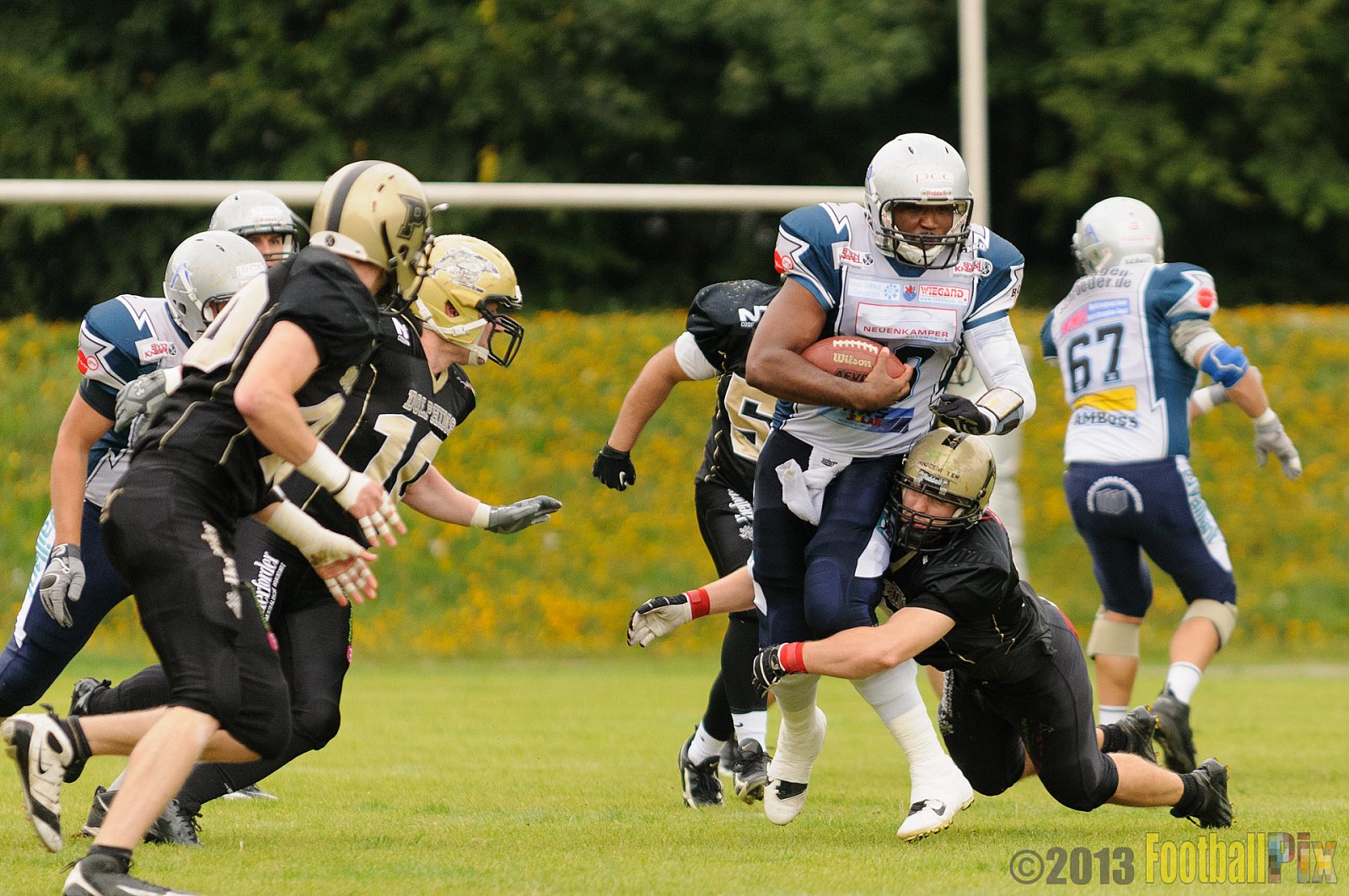  Remscheid Amboss vs. Paderborn Dolphins  - 15.09.2013 Remscheid Amboss vs. Paderborn Dolphins (22:7) 