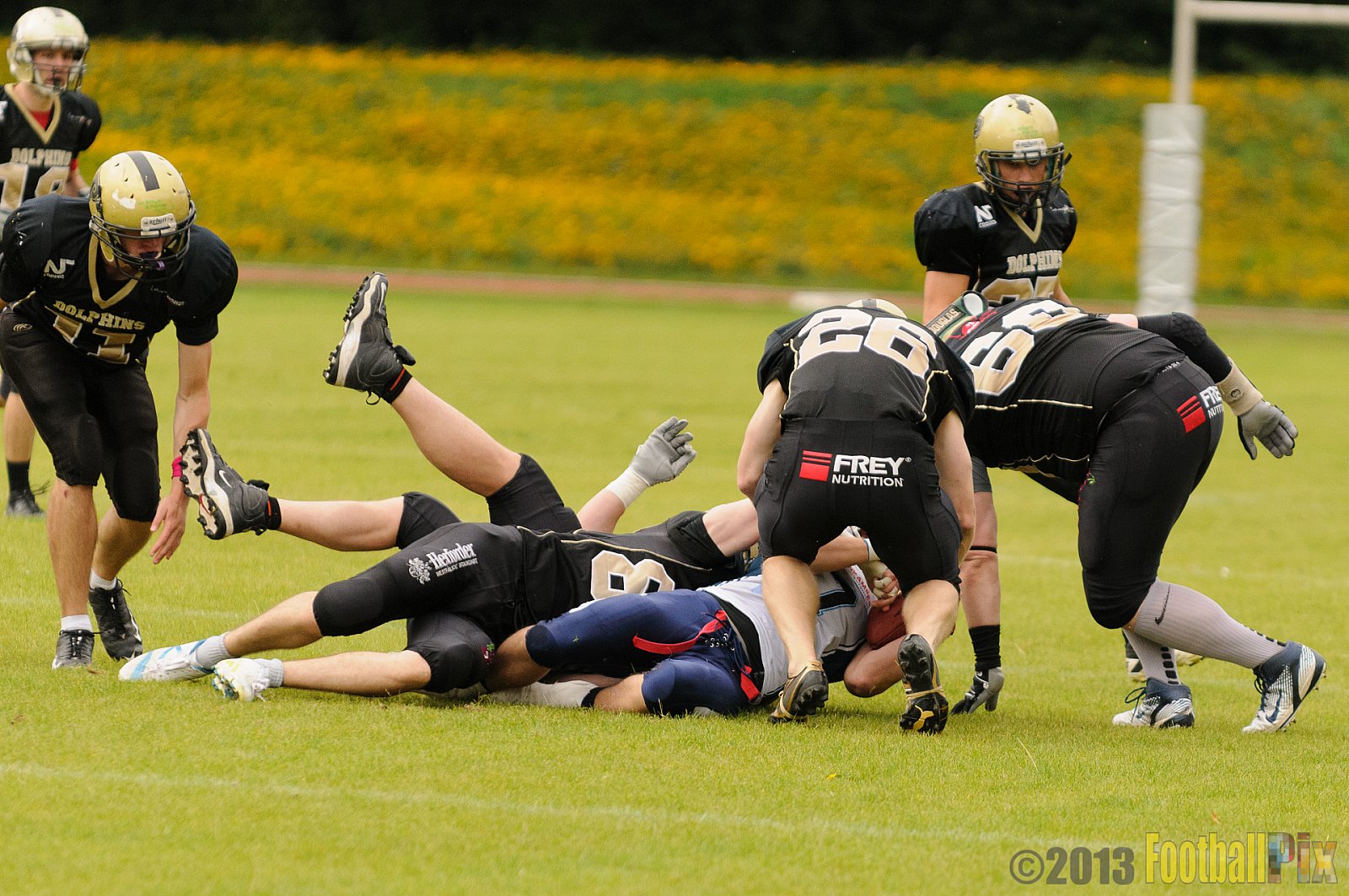  Remscheid Amboss vs. Paderborn Dolphins  - 15.09.2013 Remscheid Amboss vs. Paderborn Dolphins (22:7) 