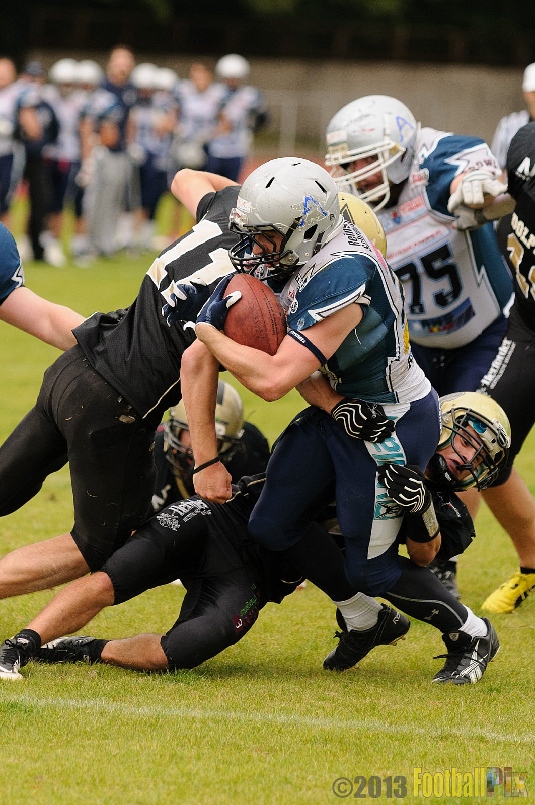  Remscheid Amboss vs. Paderborn Dolphins  - 15.09.2013 Remscheid Amboss vs. Paderborn Dolphins (22:7) 