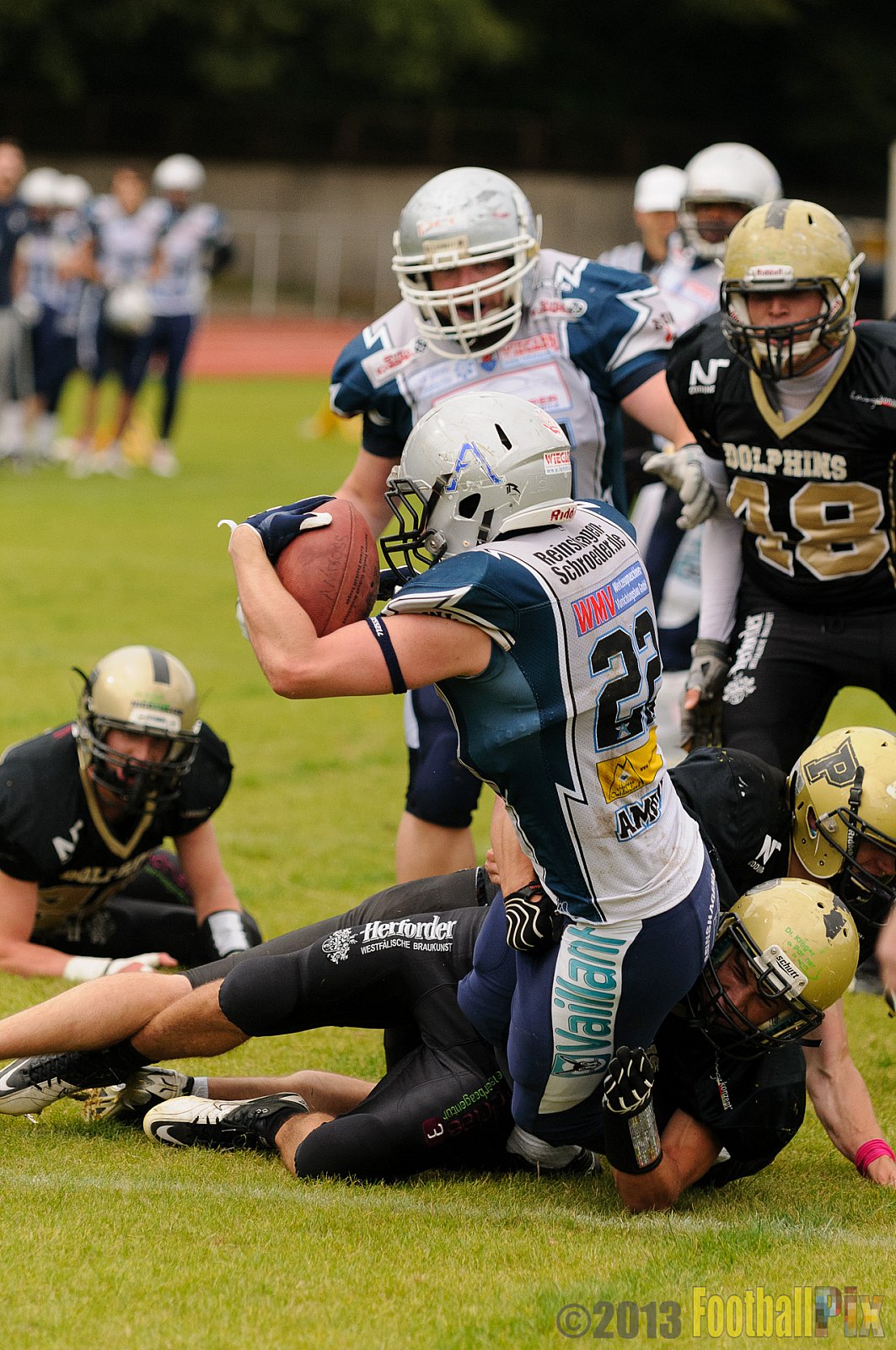  Remscheid Amboss vs. Paderborn Dolphins  - 15.09.2013 Remscheid Amboss vs. Paderborn Dolphins (22:7) 