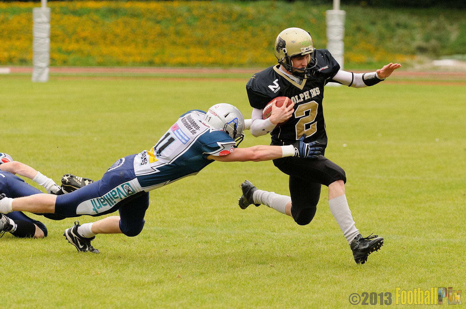  Remscheid Amboss vs. Paderborn Dolphins  - 15.09.2013 Remscheid Amboss vs. Paderborn Dolphins (22:7) 