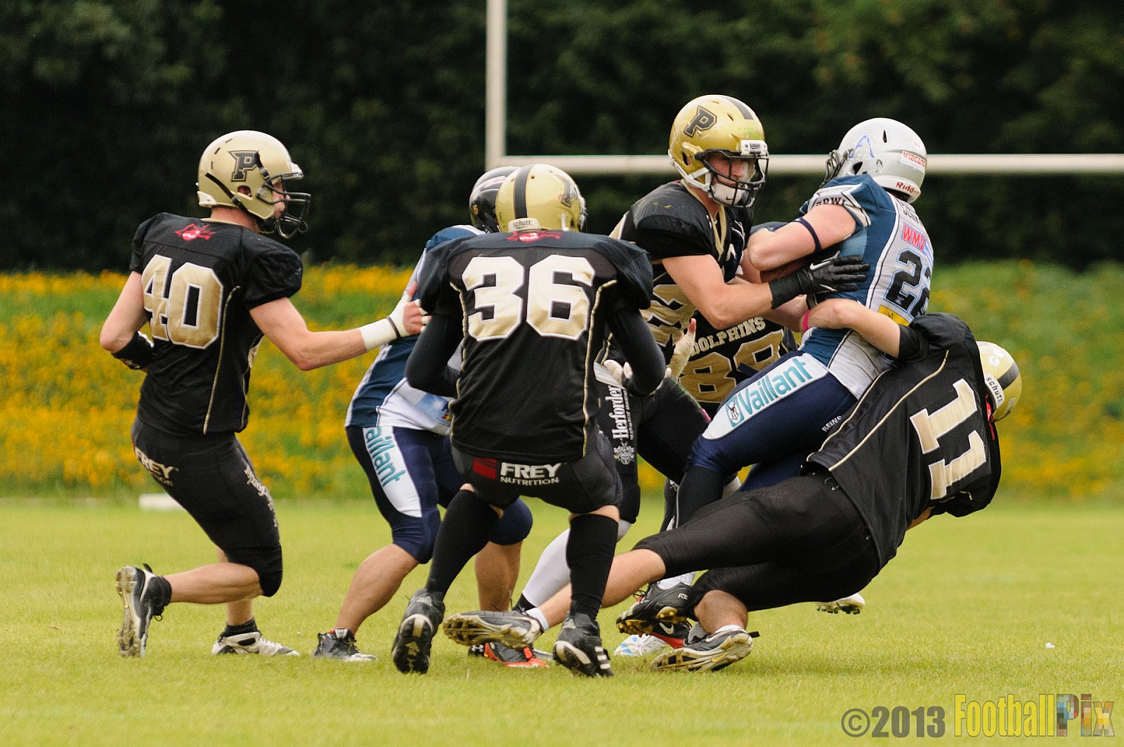  Remscheid Amboss vs. Paderborn Dolphins  - 15.09.2013 Remscheid Amboss vs. Paderborn Dolphins (22:7) 