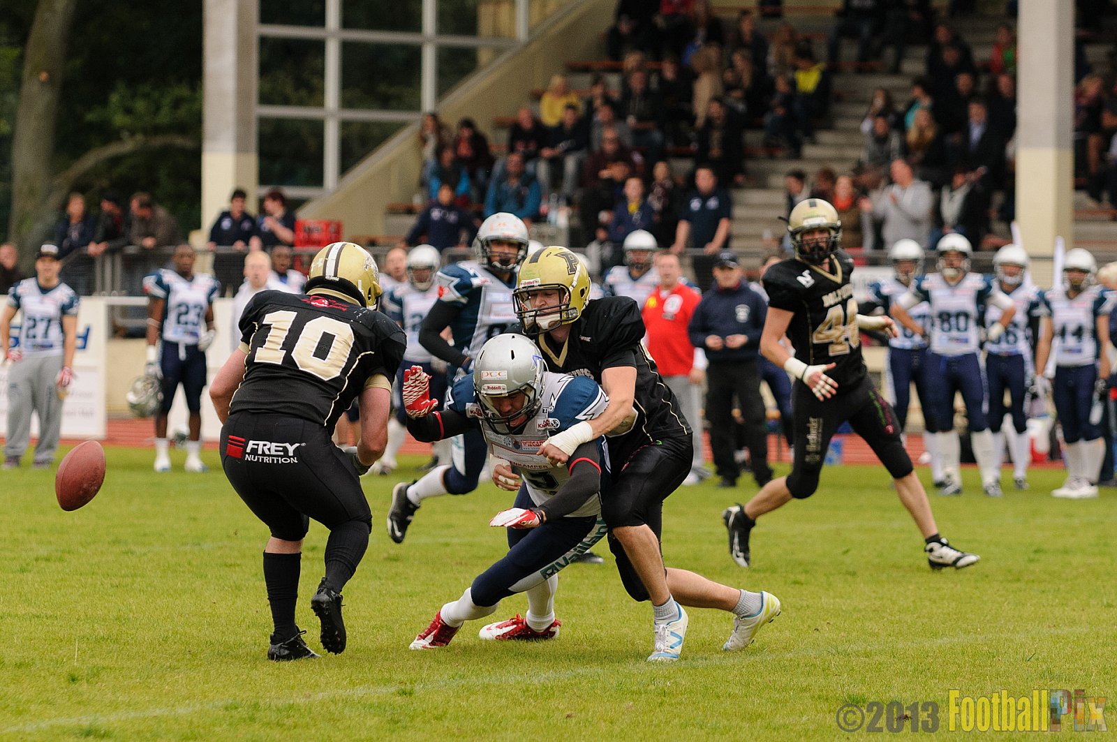  Remscheid Amboss vs. Paderborn Dolphins  - 15.09.2013 Remscheid Amboss vs. Paderborn Dolphins (22:7) 