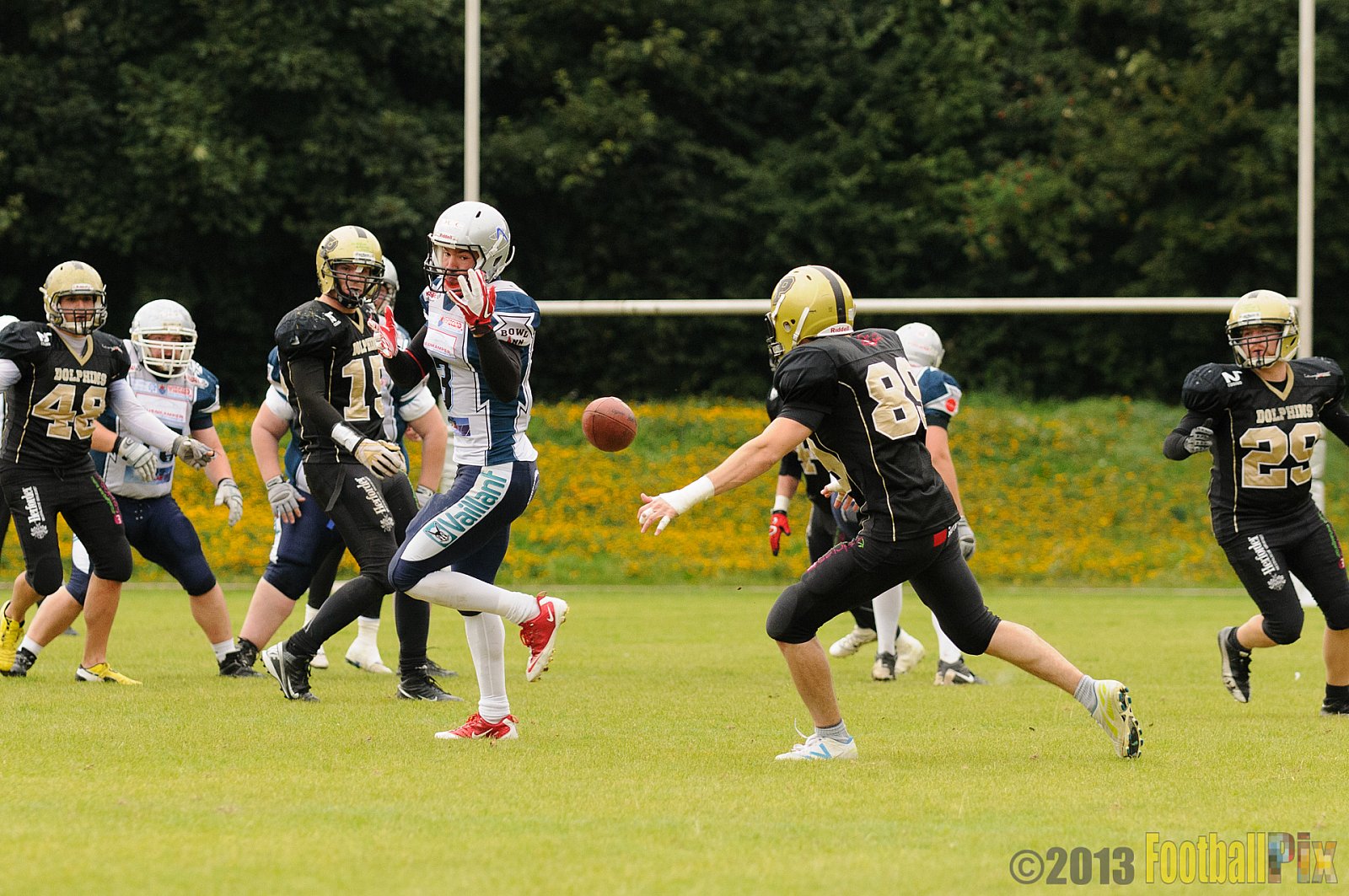 Remscheid Amboss vs. Paderborn Dolphins  - 15.09.2013 Remscheid Amboss vs. Paderborn Dolphins (22:7) 