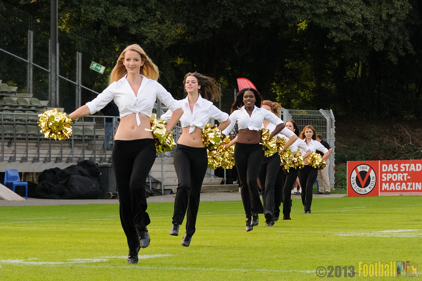 Relegationsspiel Cologne Falcons vs. Bielefeld Bulldogs - 21.09.2013 GFL Nord: Relegationsspiel Cologne Falcons vs. Bielefeld Bulldogs (42:30) 