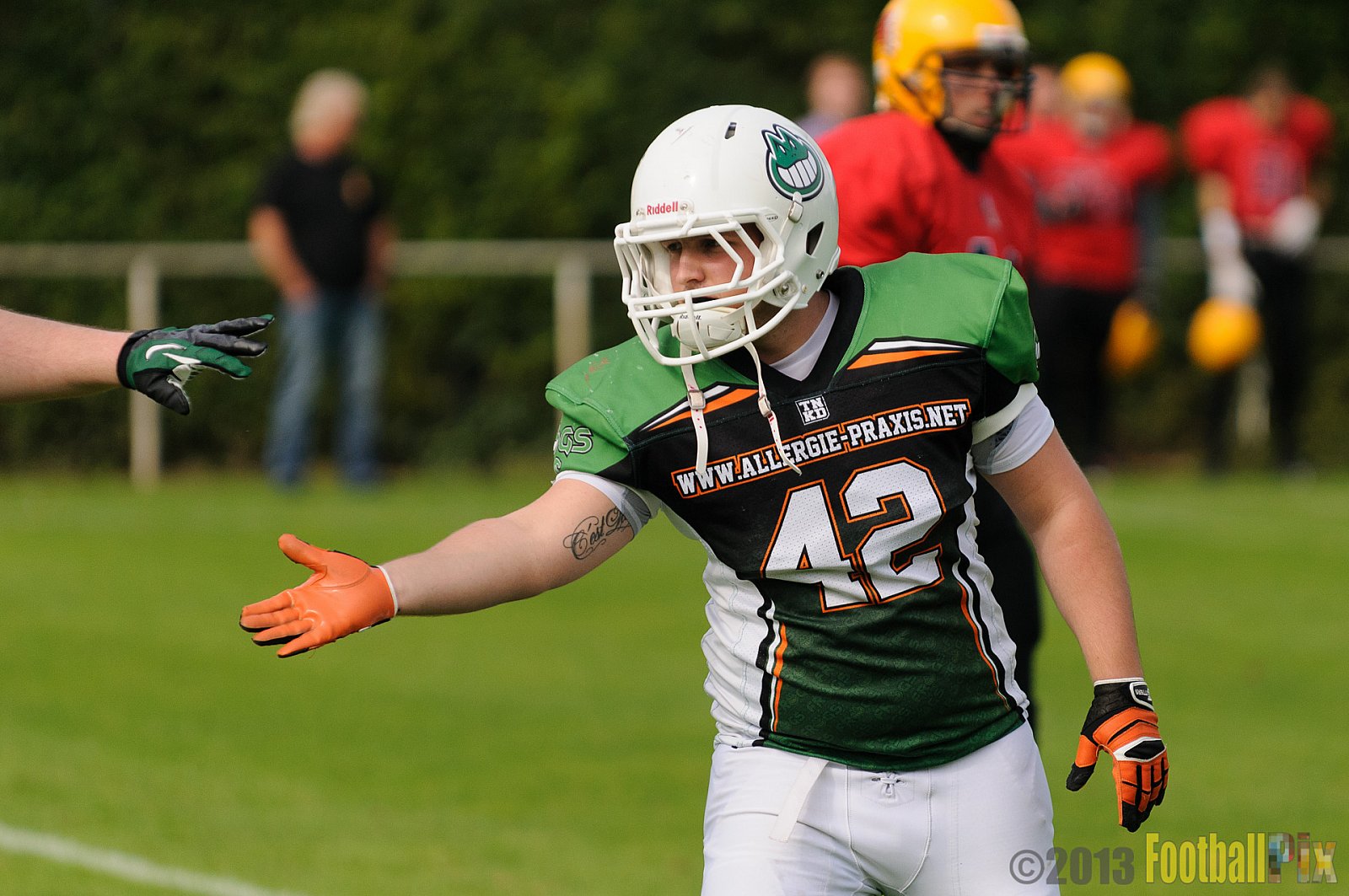 Neuss Frogs vs. Aachen Düren Demons - 21.09.2013 Neuss Frogs vs. Aachen Düren Demons (36:0) 